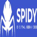 Digital Spidy Services
